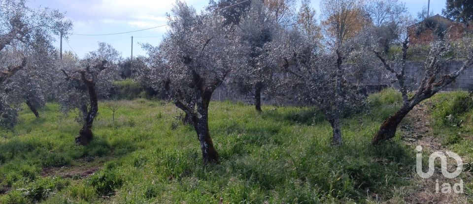 Terrain à Graça de 3 250 m²