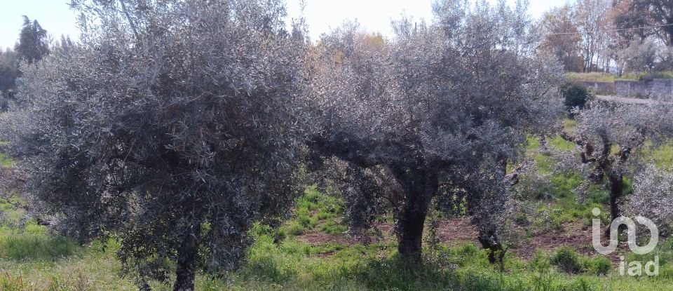 Terrain à Graça de 3 250 m²