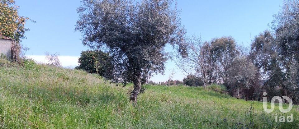 Terrain à Graça de 3 250 m²