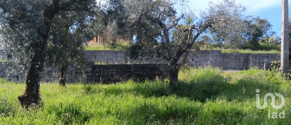 Terrain à Graça de 3 250 m²