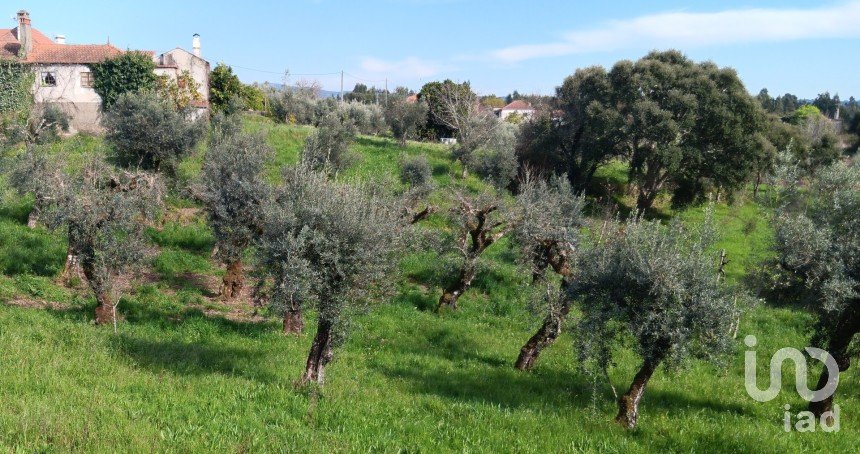 Terrain à Graça de 3 250 m²