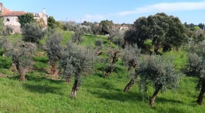 Land in Graça of 3,250 m²