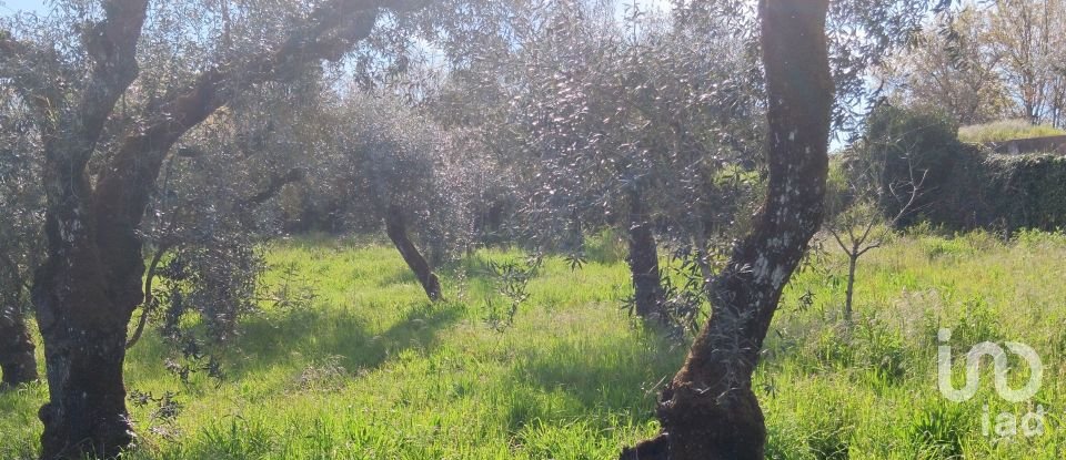 Terrain à Graça de 3 250 m²