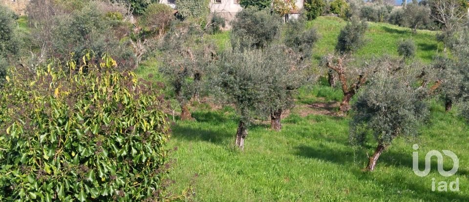 Terrain à Graça de 3 250 m²