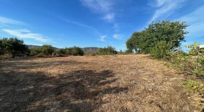 Terrain agricole à Quelfes de 1 600 m²