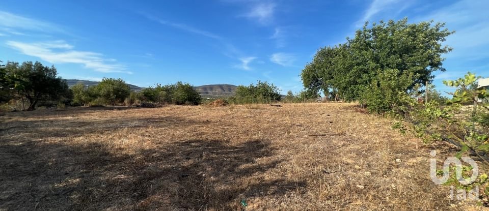 Terrain agricole à Quelfes de 1 600 m²