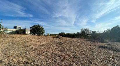 Terrain agricole à Quelfes de 1 600 m²