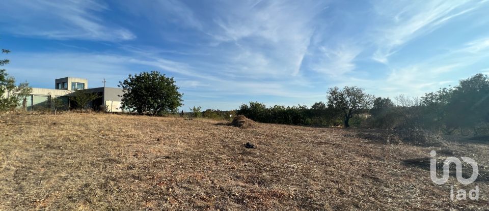 Terrain agricole à Quelfes de 1 600 m²