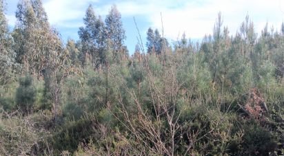 Terrain à Graça de 8 120 m²