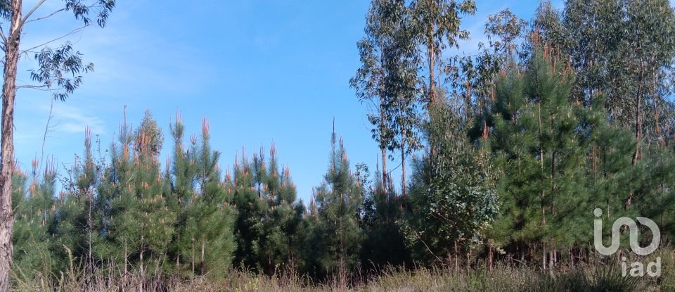 Terrain à Graça de 8 120 m²