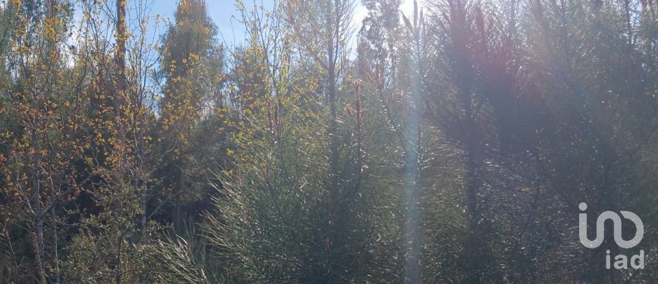 Terrain à Graça de 8 120 m²