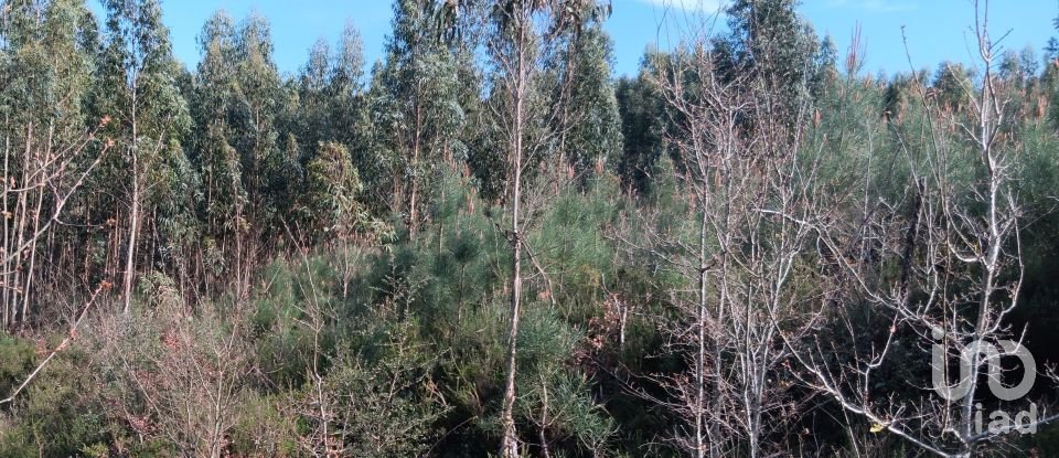 Terrain à Graça de 8 120 m²