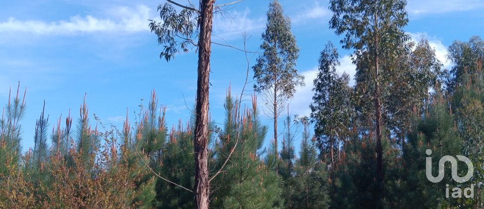 Terrain à Graça de 8 120 m²