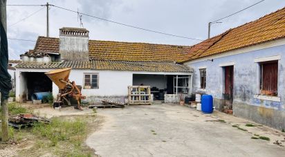 House T3 in Fazendas de Almeirim of 210 m²