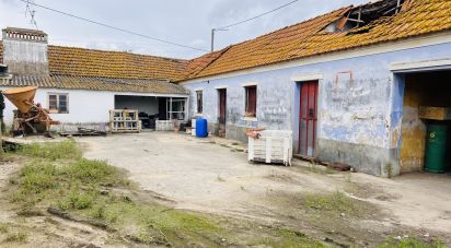 House T3 in Fazendas de Almeirim of 210 m²