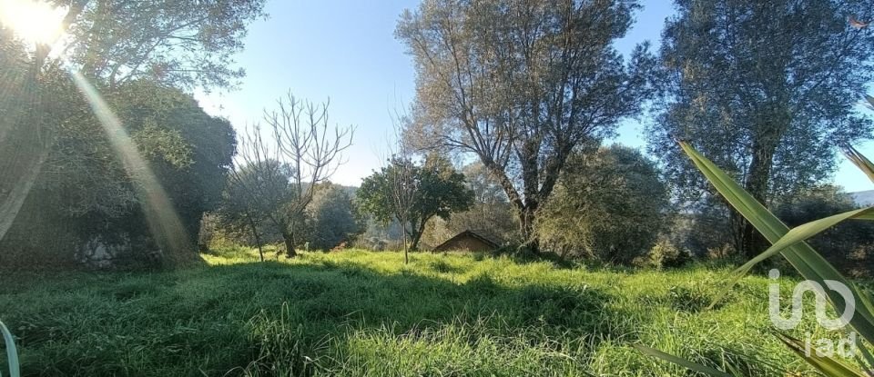 Maison rustique T0 à Grade e Carralcova de 54 m²