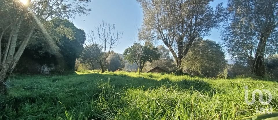 Maison rustique T0 à Grade e Carralcova de 54 m²