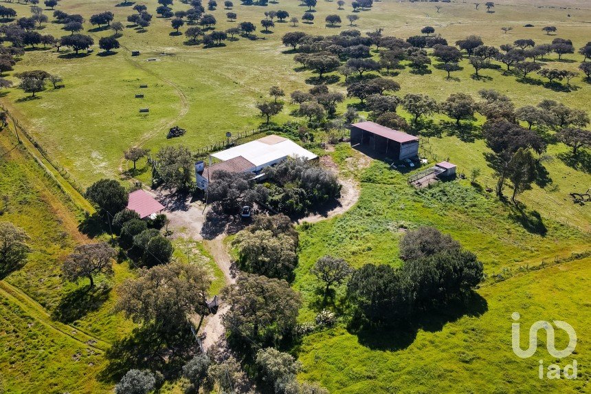 Herdade T0 em Santiago do Escoural de 450 000 m²
