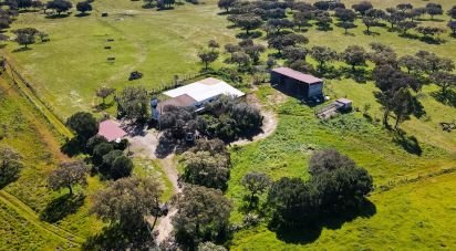 Domaine T0 à Santiago do Escoural de 450 000 m²