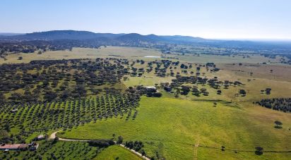 Domaine T0 à Santiago do Escoural de 450 000 m²