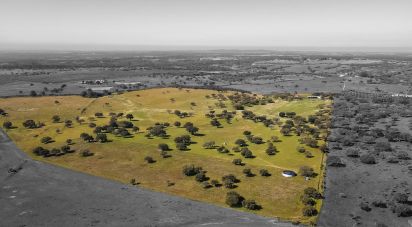 Domaine T0 à Santiago do Escoural de 450 000 m²