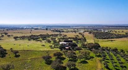 Domaine T0 à Santiago do Escoural de 450 000 m²