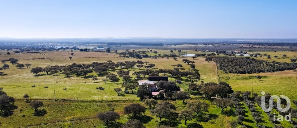 Herdade T0 em Santiago do Escoural de 450 000 m²