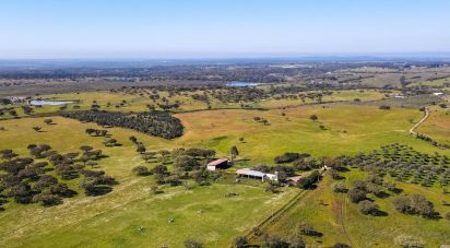 Domaine T0 à Santiago do Escoural de 450 000 m²