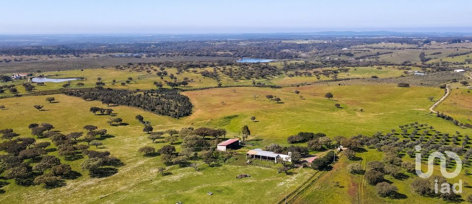 Herdade T0 em Santiago do Escoural de 450 000 m²