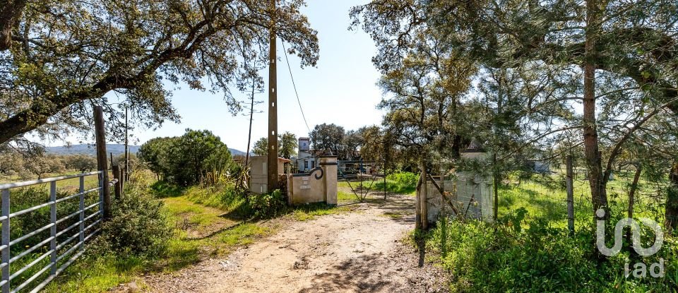 Herdade T0 em Santiago do Escoural de 450 000 m²