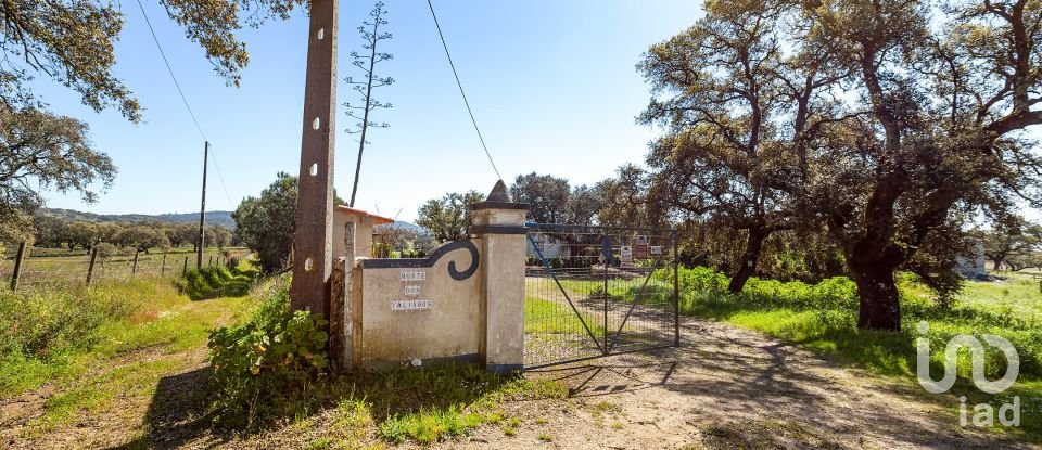 Herdade T0 em Santiago do Escoural de 450 000 m²