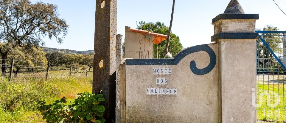 Herdade T0 em Santiago do Escoural de 450 000 m²