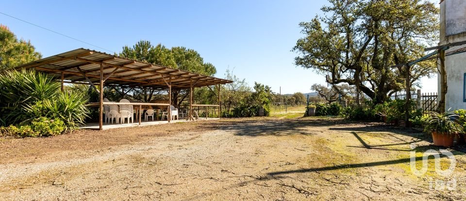 Herdade T0 em Santiago do Escoural de 450 000 m²