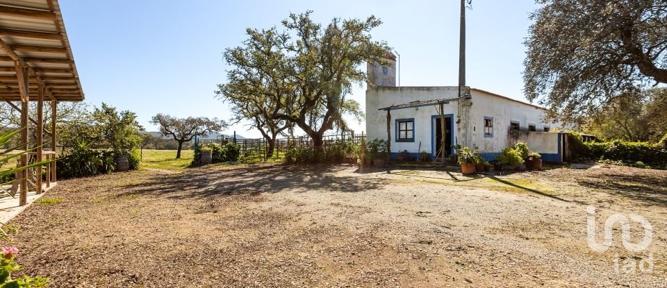 Herdade T0 em Santiago do Escoural de 450 000 m²