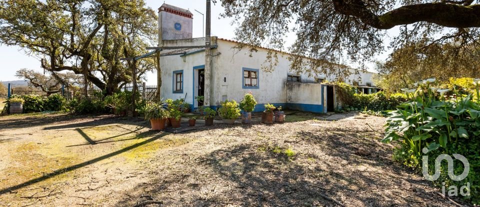 Herdade T0 em Santiago do Escoural de 450 000 m²