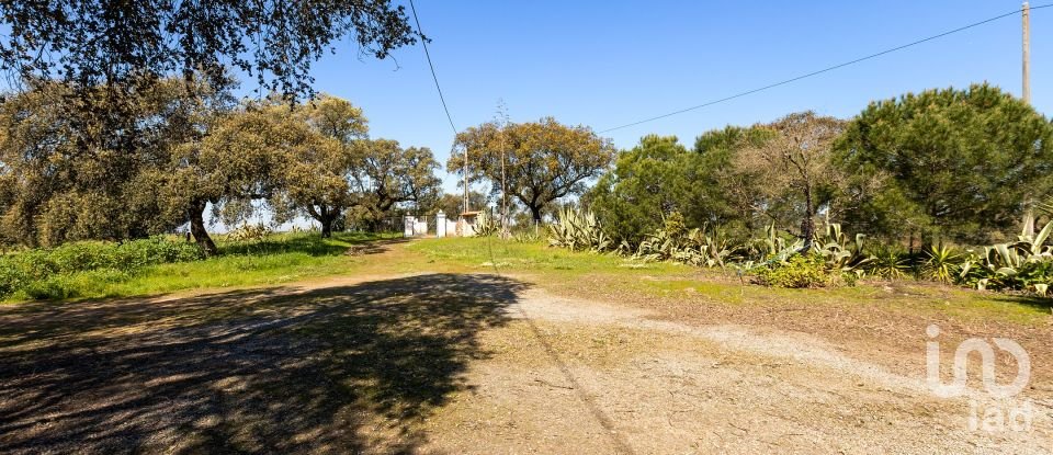 Herdade T0 em Santiago do Escoural de 450 000 m²