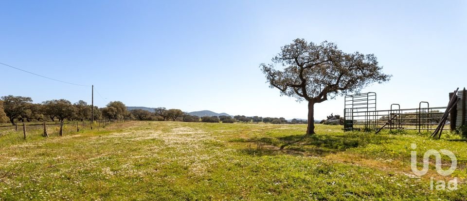 Herdade T0 em Santiago do Escoural de 450 000 m²