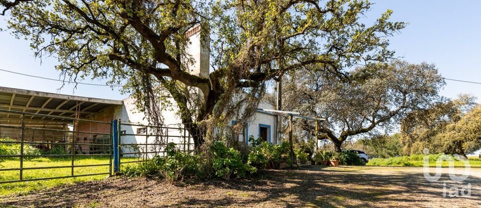 Herdade T0 em Santiago do Escoural de 450 000 m²