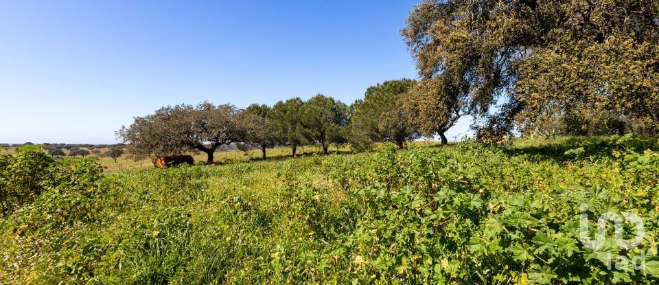 Herdade T0 em Santiago do Escoural de 450 000 m²