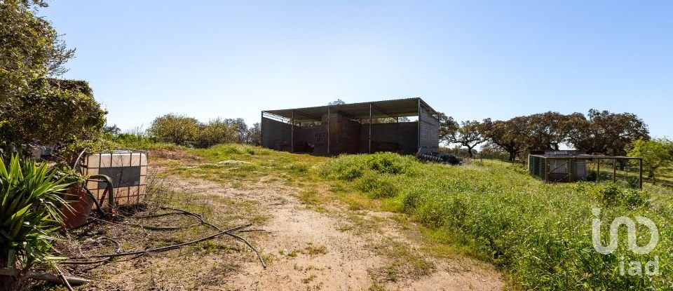 Herdade T0 em Santiago do Escoural de 450 000 m²