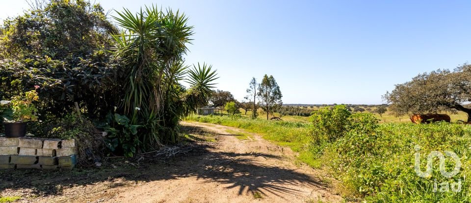 Herdade T0 em Santiago do Escoural de 450 000 m²