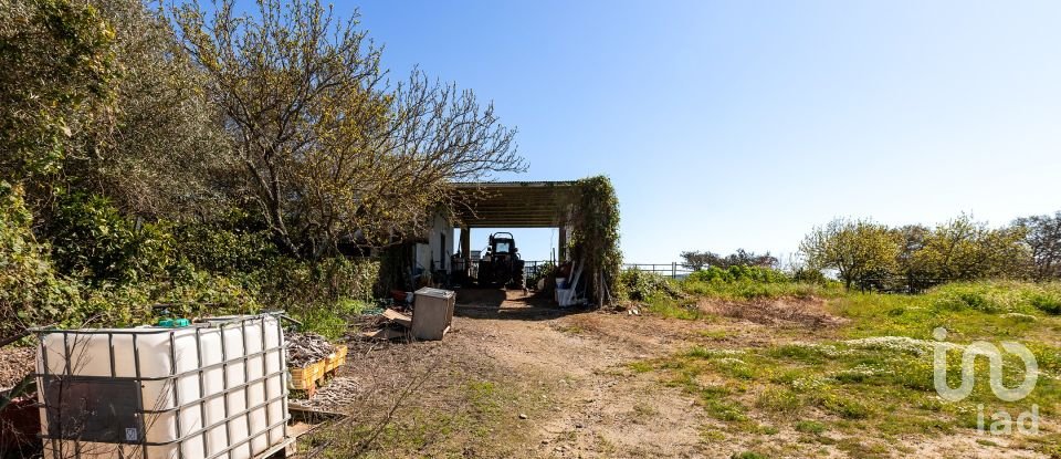 Herdade T0 em Santiago do Escoural de 450 000 m²