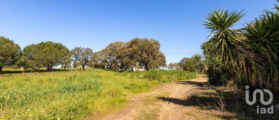 Herdade T0 em Santiago do Escoural de 450 000 m²