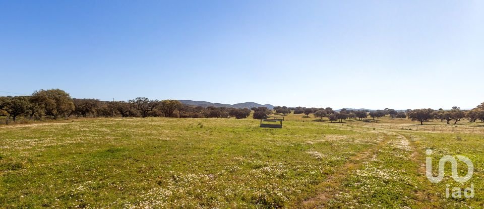 Herdade T0 em Santiago do Escoural de 450 000 m²