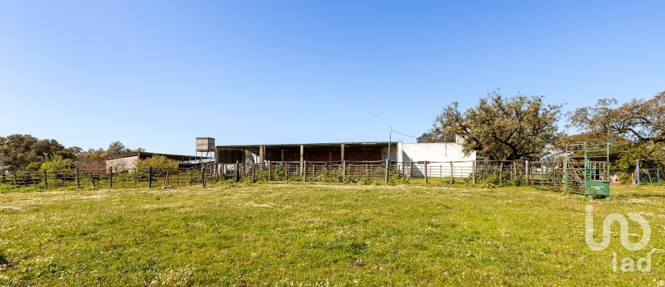 Herdade T0 em Santiago do Escoural de 450 000 m²