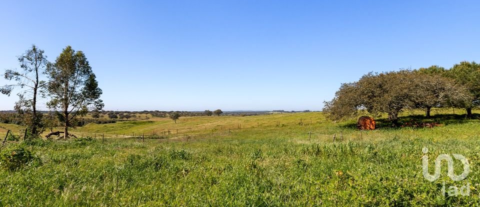 Herdade T0 em Santiago do Escoural de 450 000 m²