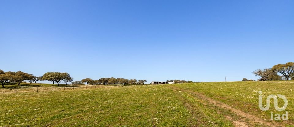 Herdade T0 em Santiago do Escoural de 450 000 m²