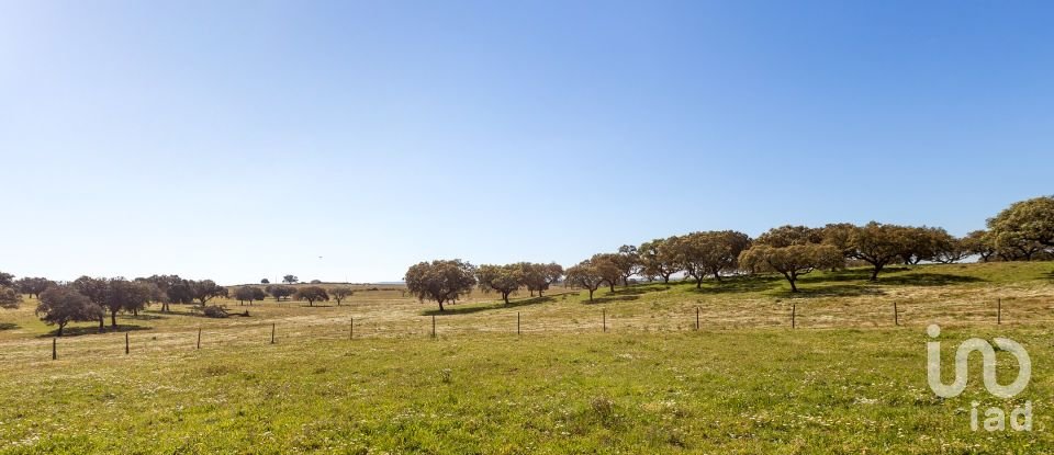 Herdade T0 em Santiago do Escoural de 450 000 m²