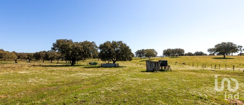 Herdade T0 em Santiago do Escoural de 450 000 m²