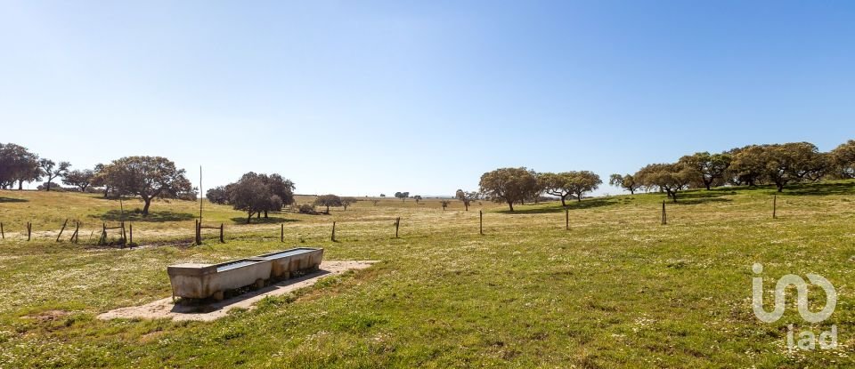 Herdade T0 em Santiago do Escoural de 450 000 m²